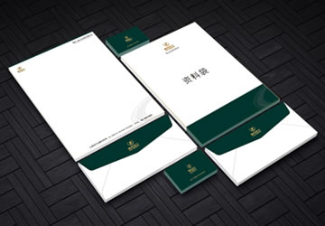 雷帝动力VI手册设计作品