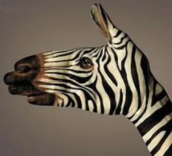 聊城广告公司设计理论浅谈