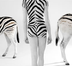 设计师借灵感也能高大上