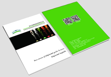 山东茌平盛康画册