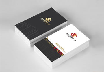 盛大·财智广场名片设计