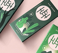 巧克力品牌插图包装设计