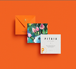 PITAIA橙色品牌VI视觉设计