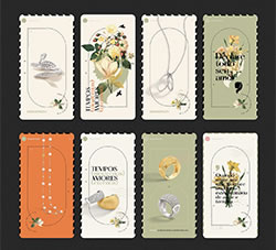 广告珠宝植物鲜花绘画设计