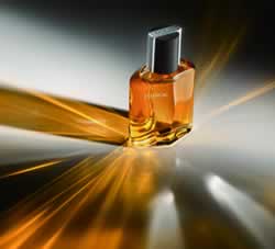 ESSENCIAL - NATURE瓶与光