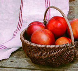 Ridolfi农业品牌视觉平面设计