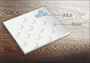 福泰电器宣传画册设计作品