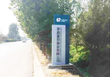 莘县富邦菌业项目制作作品