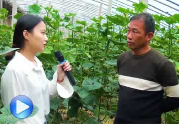 <b>阳谷东大塑业采访</b>