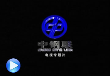 中钢联